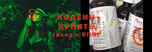 apvp Няндома