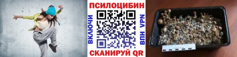 что такое наркотик  Слюдянка  Псилоцибиновые грибы мицелий 
